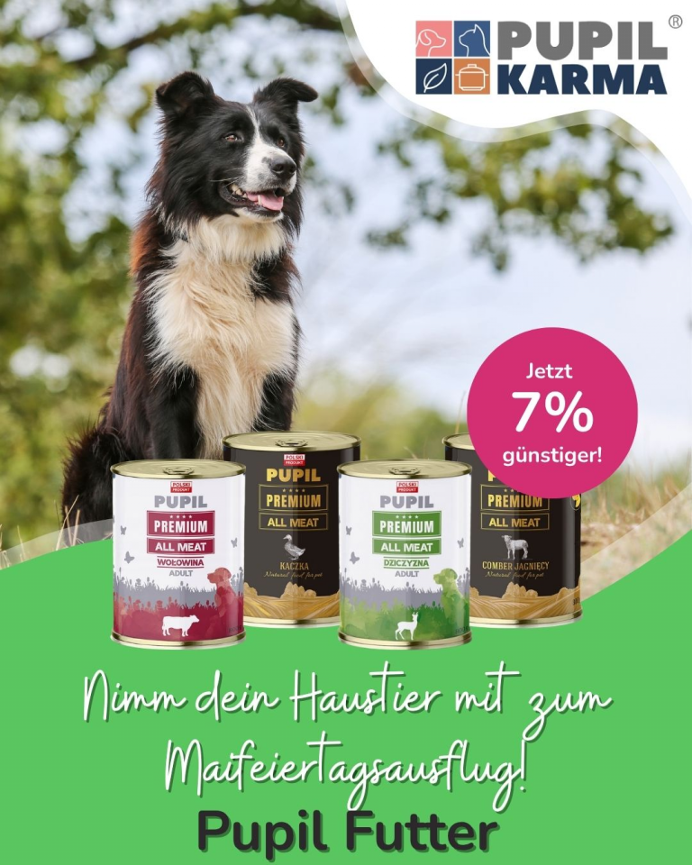 [OFERTA SPECJALNA] Majówka z pupilem