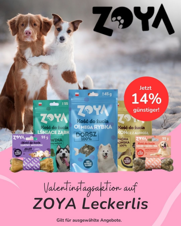 [OFERTA SPECJALNA] Luty - Zoya