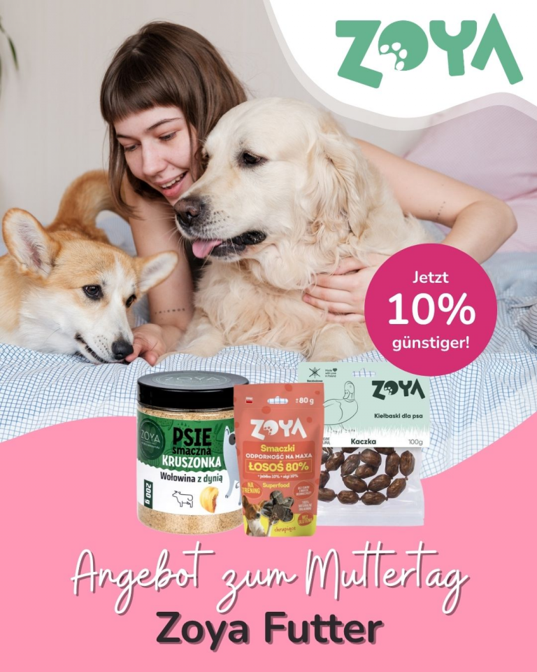 [OFERTA SPECJALNA] Maj Zoya
