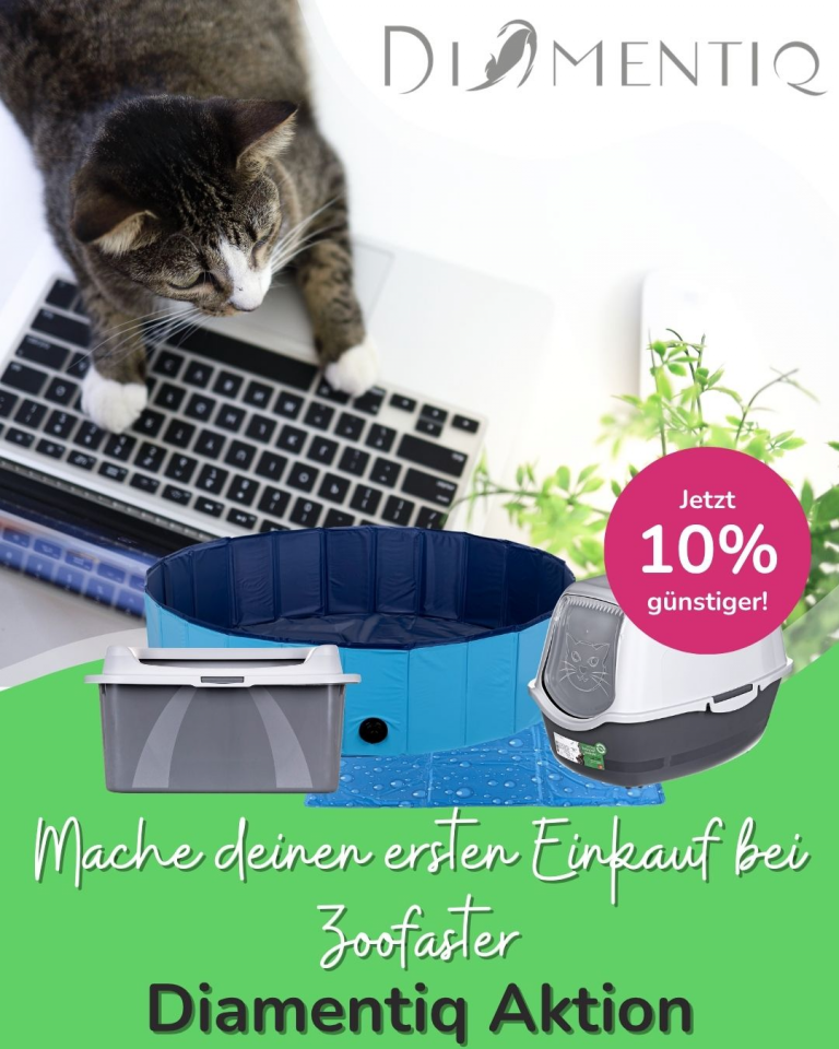 [OFERTA SPECJALNA] Maj pierwsze zakupy