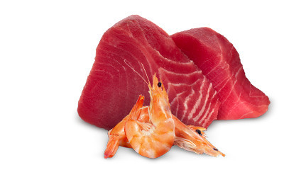FARMINA N&D Cat Natural Thunfisch & Shrimp - Nassfutter für Katzen - 12x140g - foto 3
