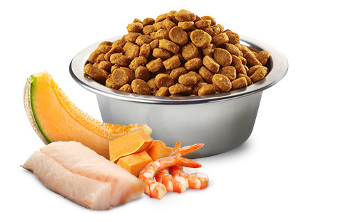 FARMINA N&D Ocean Cat Cod, Shrimp, Pumpkin and Cantaloupe Melon Kitten- Trockenfutter für Katzen - 1.5 kg - foto 3
