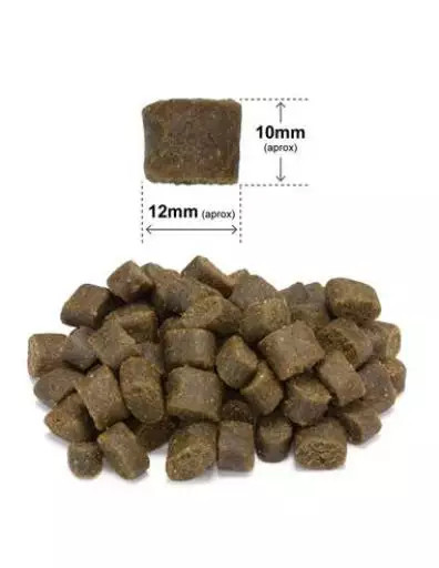 ARQUIVET Frischer Lachs mit Pute - halbfeuchtes Hundefutter - 10 kg - foto 2