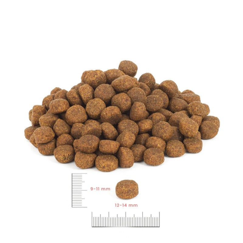 PERRO Junior Turkey with rabbit Medium and large breeds - trockenfutter für Hunde - 1kg - foto 2