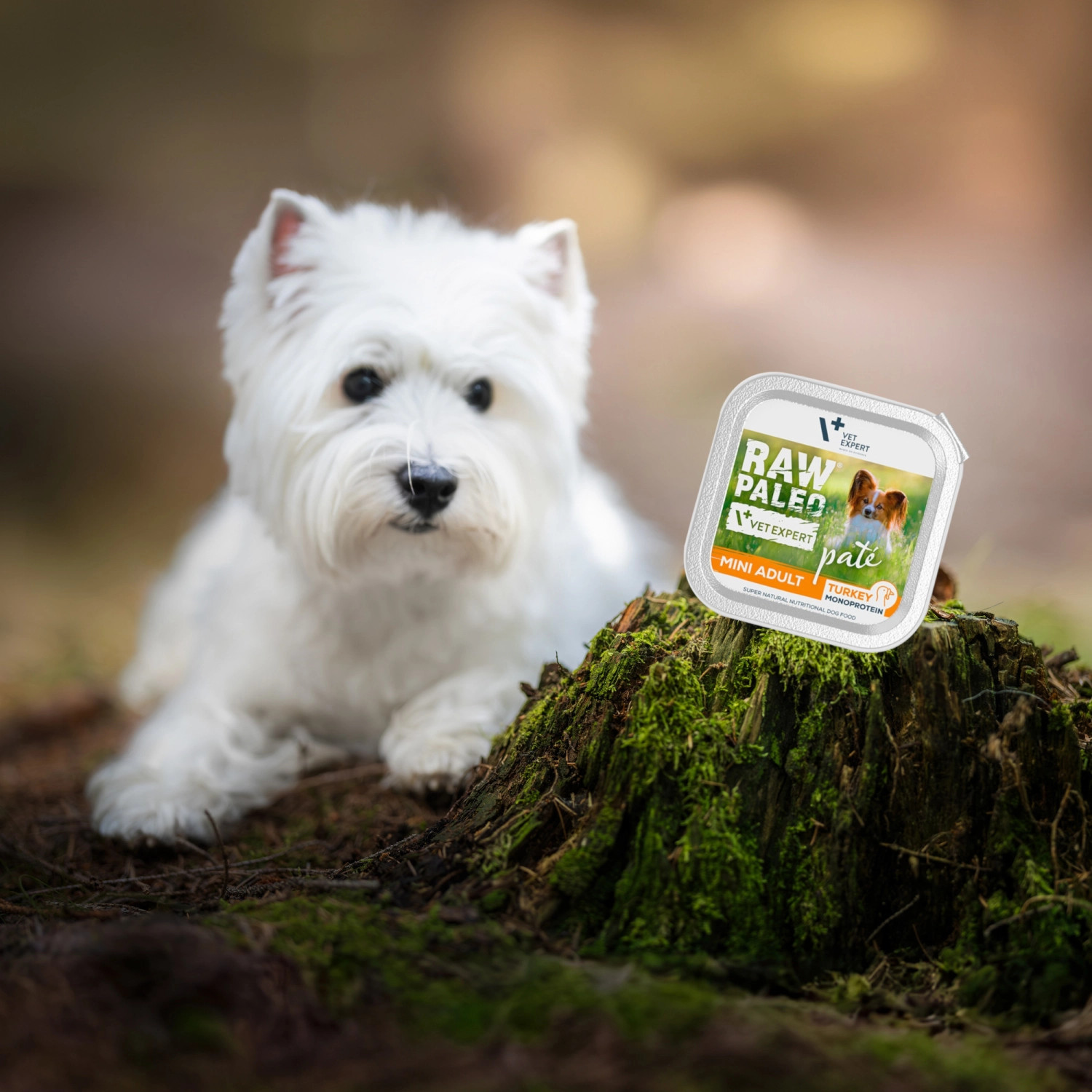 RAW PALEO Pate Mini Adult Truthahn – Nassfutter für Hunde – 150 g - foto 2