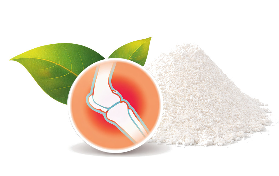 POKUSA RawDietLine Collagen - nahrungsergänzungsmittel für hunde und katzen - 200g - foto 2