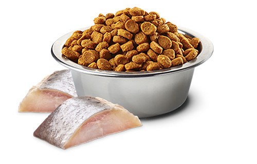 FARMINA N&D Spirulina Herring Adult Med/Maxi - Trockenfutter für Hunde - 7 kg - foto 2