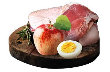 BIOFEED Tasty Dogs Life Junior Duck - Nassfutter für Hunde - 150g - foto 3