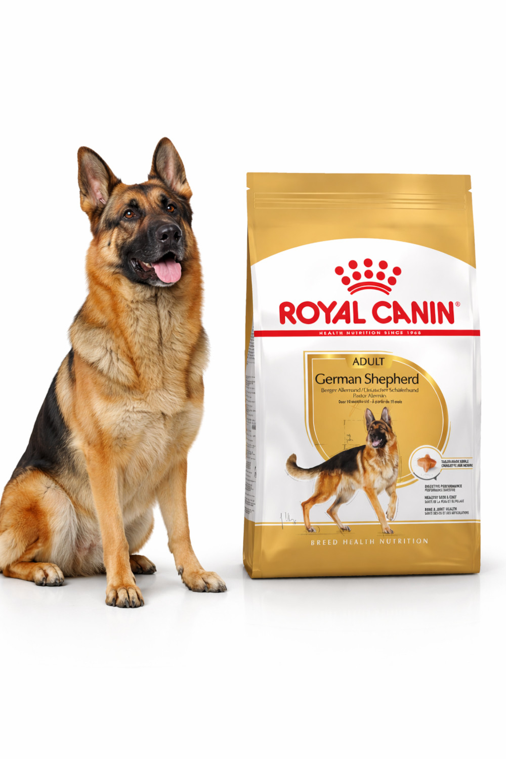 ROYAL CANIN German Shepherd Adult – Trockenfutter für ausgewachsene Deutsche Schäferhunde - 11kg - foto 2