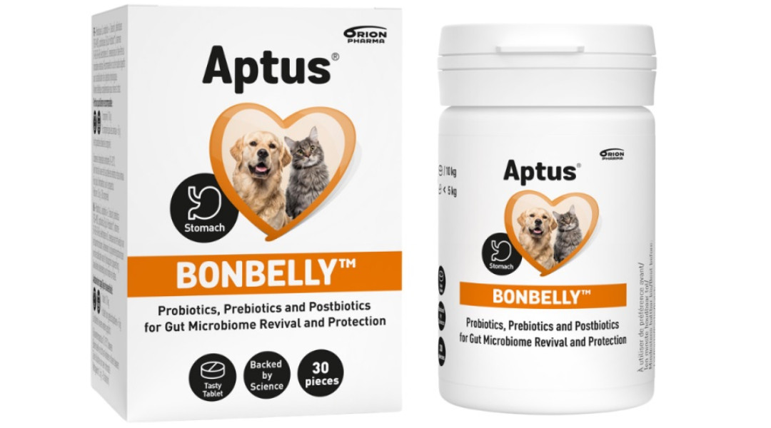 APTUS Bonbelly Digestive disorders - ergänzungen für hunde und katzen – 30 - foto 2
