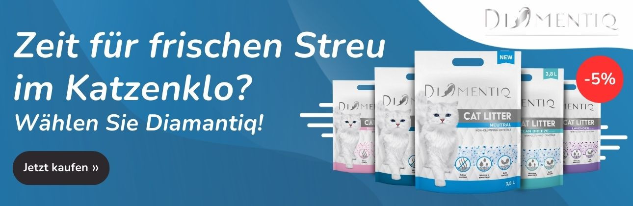 [PRODUCENT] Petitto