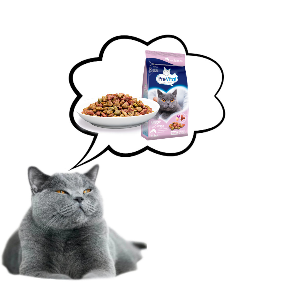 PREVITAL Senior Salmon - trockenfutter für Katzen - 1,4kg - foto 6