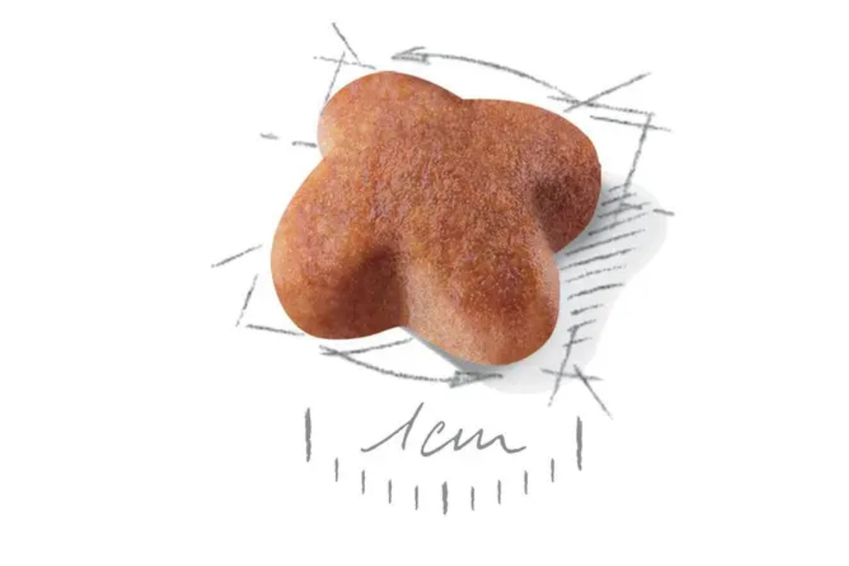 ROYAL CANIN Jack Russell Adult - Trockenfutter für Hunde - 7,5 kg - foto 2