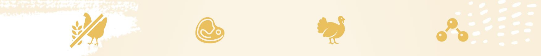 EUPHORIA Fresh Junior Monoprotein Turkey XS/S - trockenfutter für Hunde - 500g - foto 1