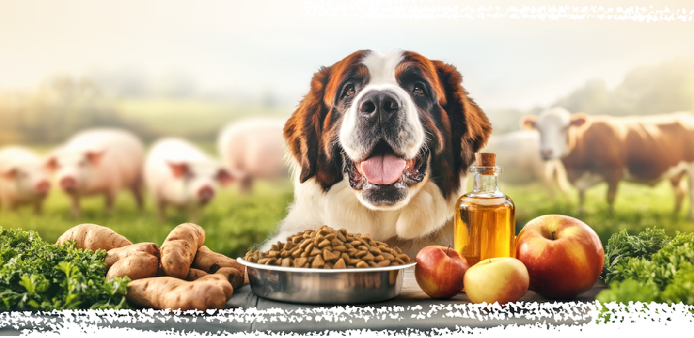 BIOFEED Euphoria Fresh Adult Medium & Large Pork with beef - trockenfutter für Hunde - 12kg - foto 4