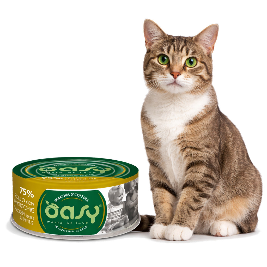 OASY More Love Chicken with lentils - nassfutter für Katzen - 70g - foto 2