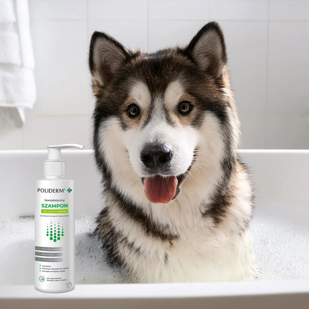 JM SANTE Poliderm - anti-schuppen-shampoo für hunde und katzen – 250 ml - foto 1