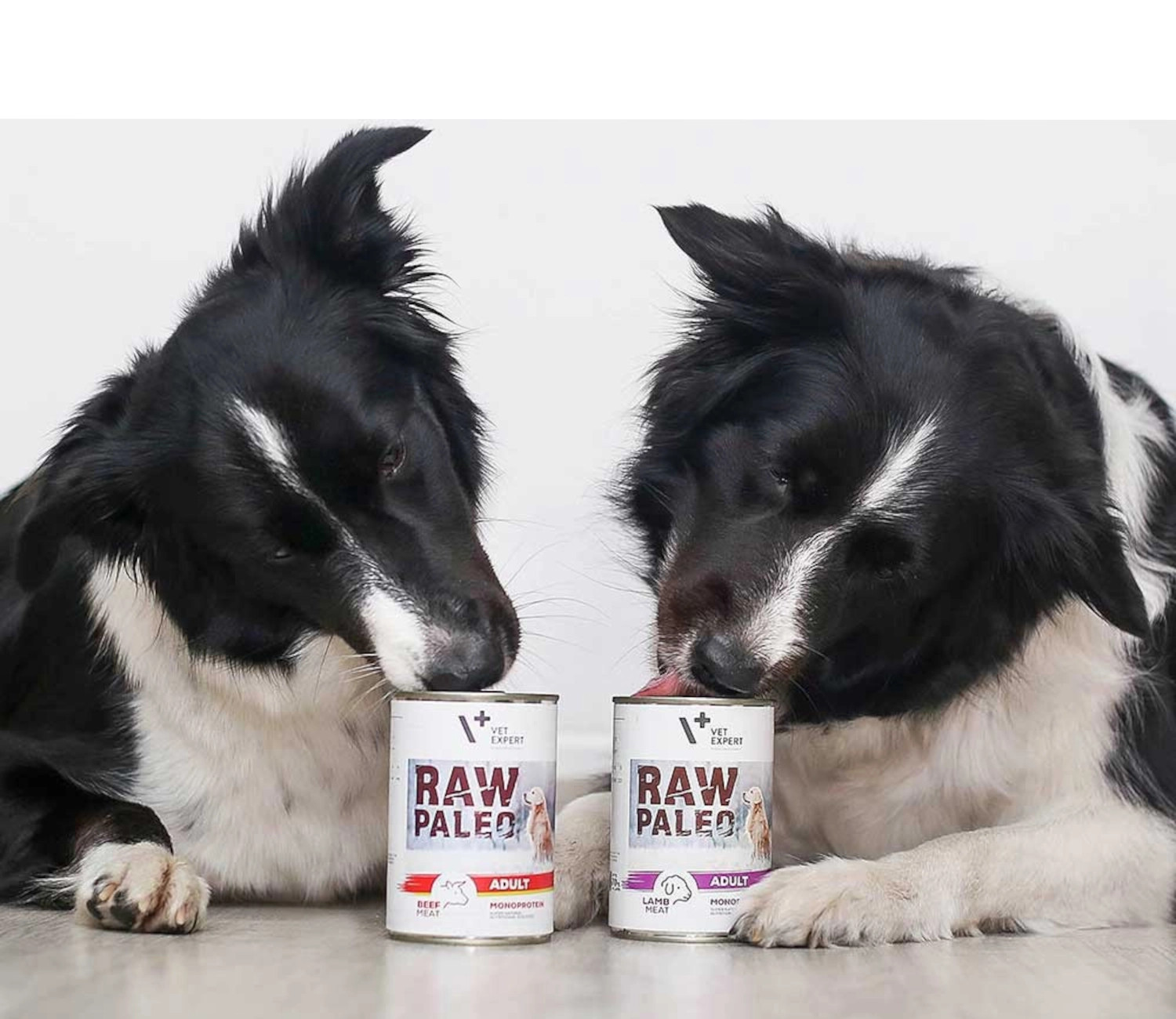 RAW PALEO Adult Monoprotein Beef – Nassfutter für Hunde – 400 g - foto 1