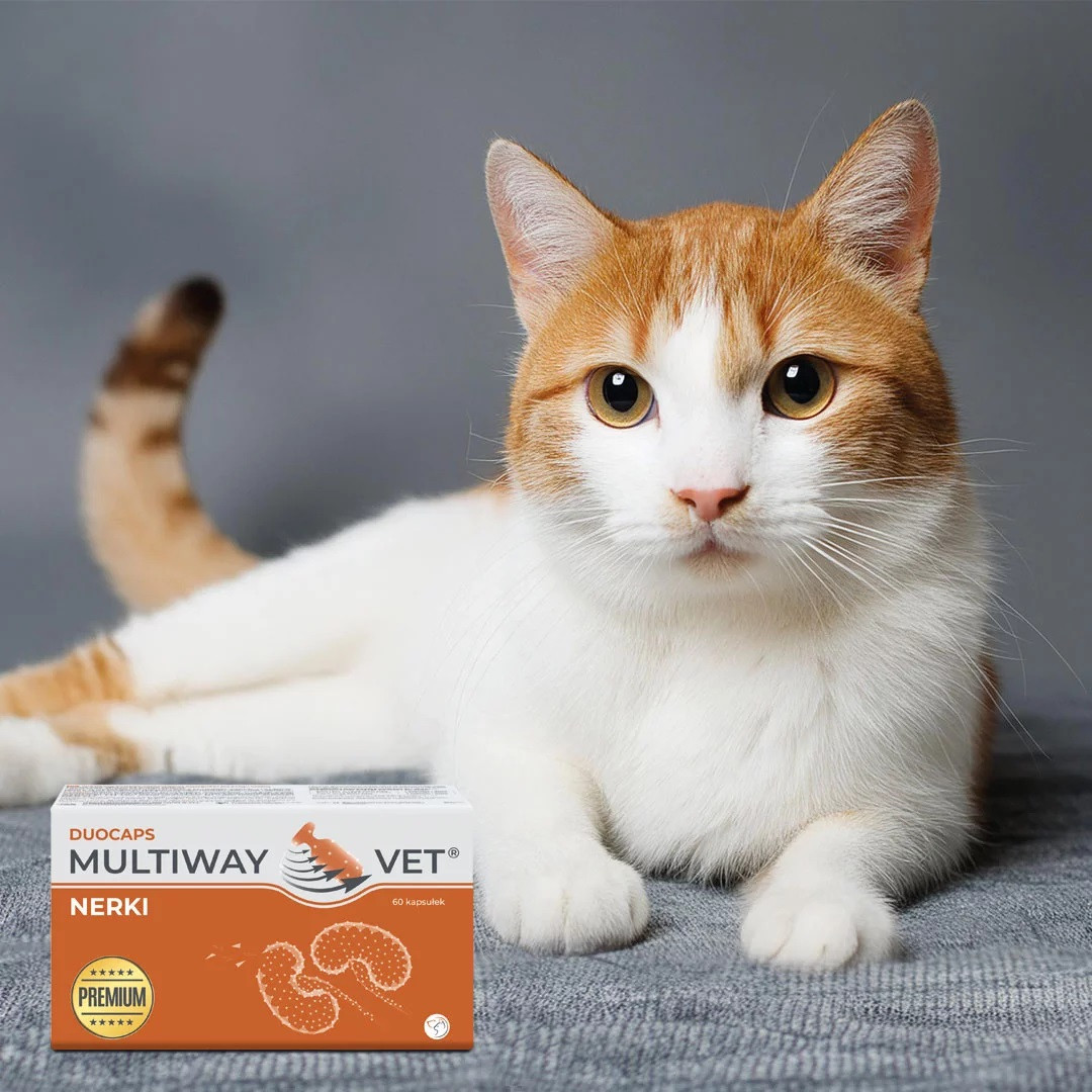 JM SANTE Multiway Vet Duocaps Kidneys - twist-off kapseln für nieren bei hunden und katzen – 60 stück - foto 2