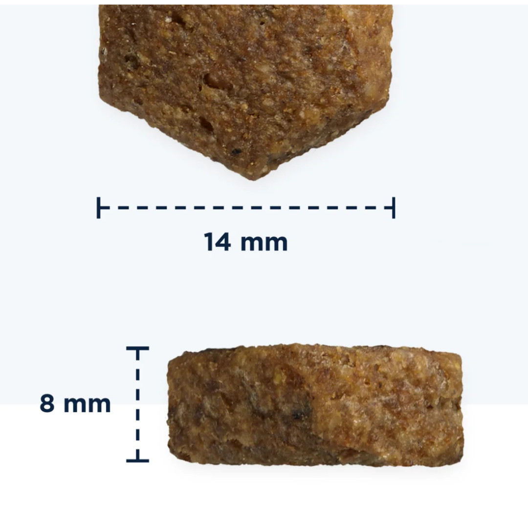 EUKANUBA Daily Care Adult Mono Protein Salmon - Trockenfutter für Hunde - 12 kg - foto 2