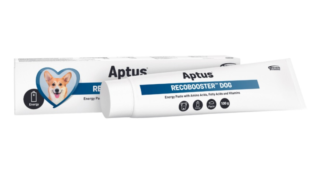 APTUS Recobooster Dog Nutrition and appetite - ergänzungen für hunde – 100 g - foto 1