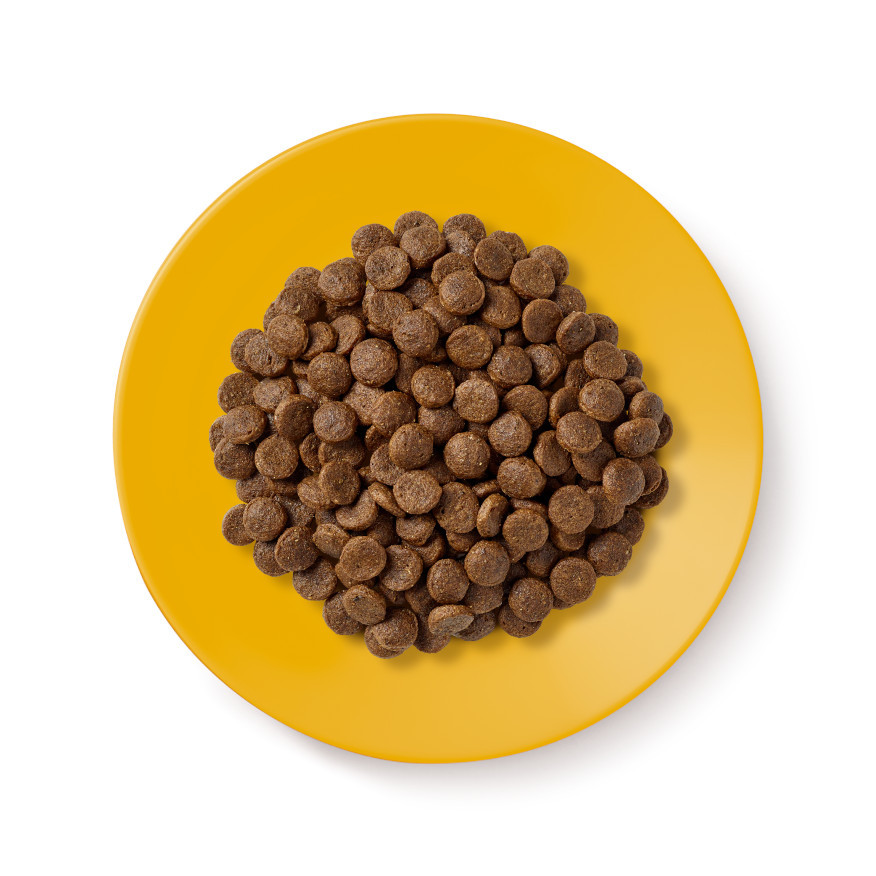 APPLAWS Senior Chicken - trockenfutter für Katzen - 2kg - foto 2