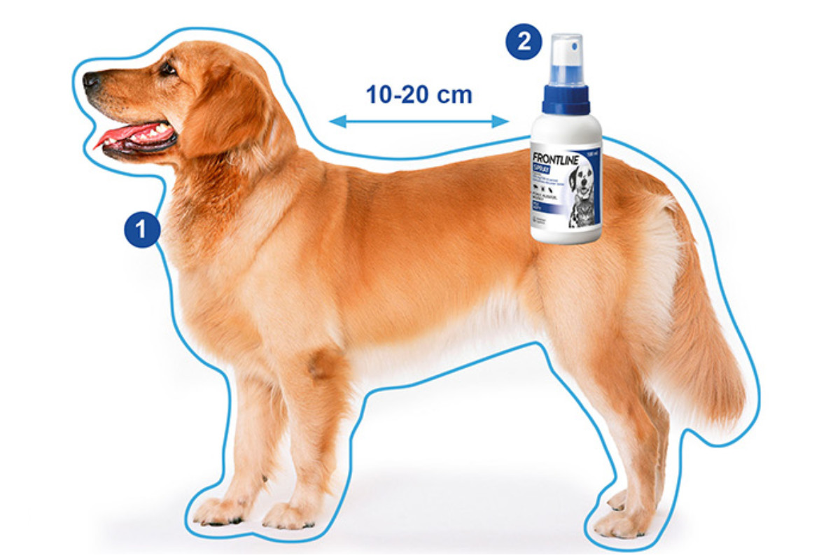 FRONTLINE Floh- und Zeckenspray für Hunde und Katzen - 250 ml - foto 2