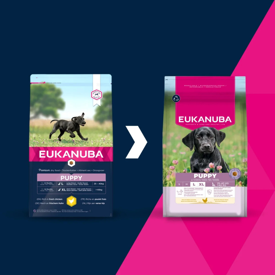 EUKANUBA Puppy L XL Rich in chicken - trockenfutter für Hunde - 15kg - foto 4