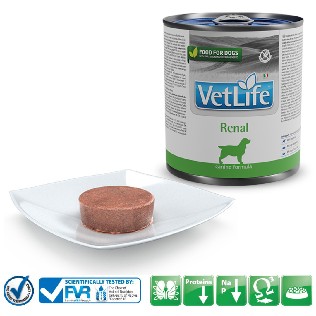 FARMINA Vet Life Canine Renal - Nassfutter für Hunde - 300 g - foto 2