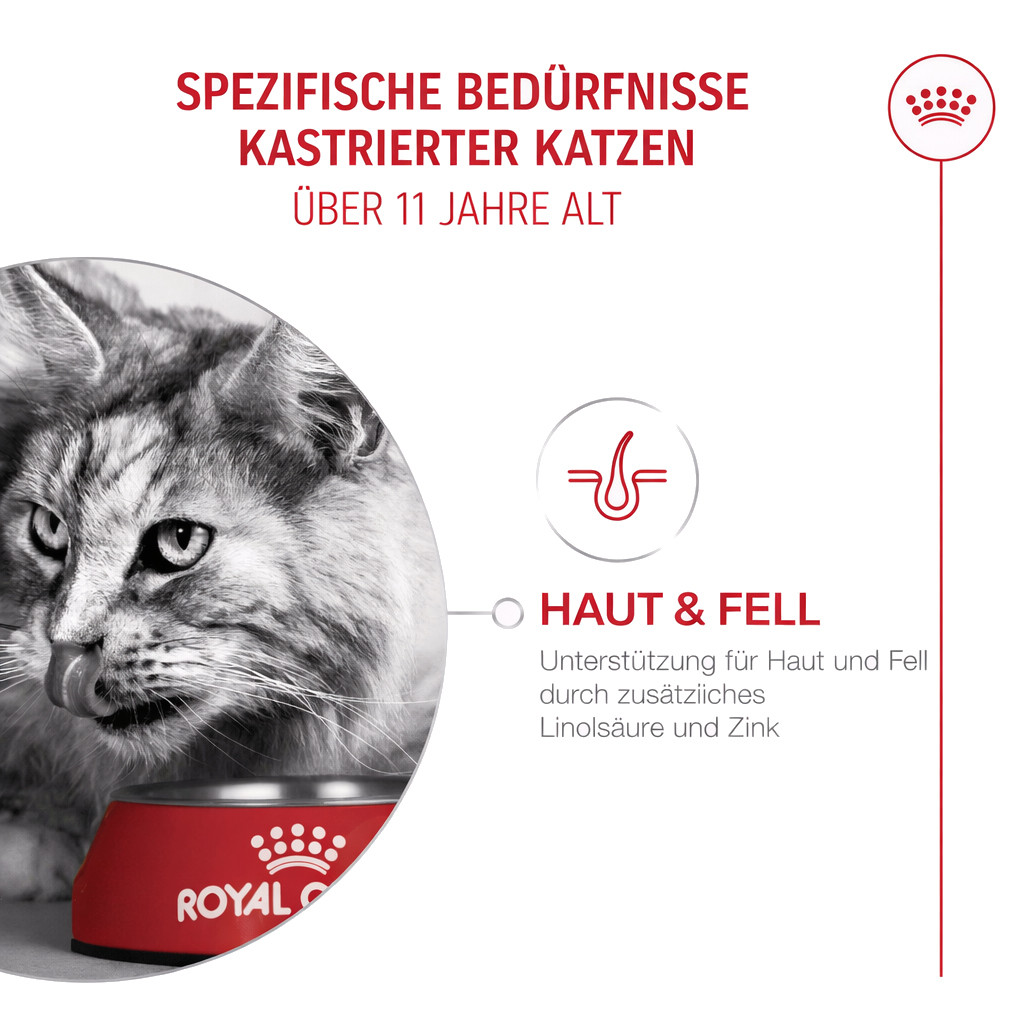ROYAL CANIN Ageing 11+ Sterilised - trockenfutter für Katzen - 4kg - foto 6