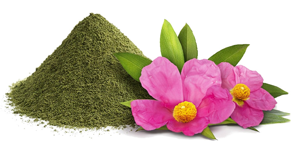 POKUSA RawDietLine Cistus - nahrungsergänzungsmittel für hunde und katzen - 500g - foto 2