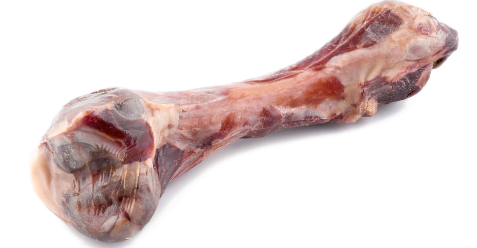 MACED Parmaschinkenknochen - Hundekauartikel - 330g - foto 3