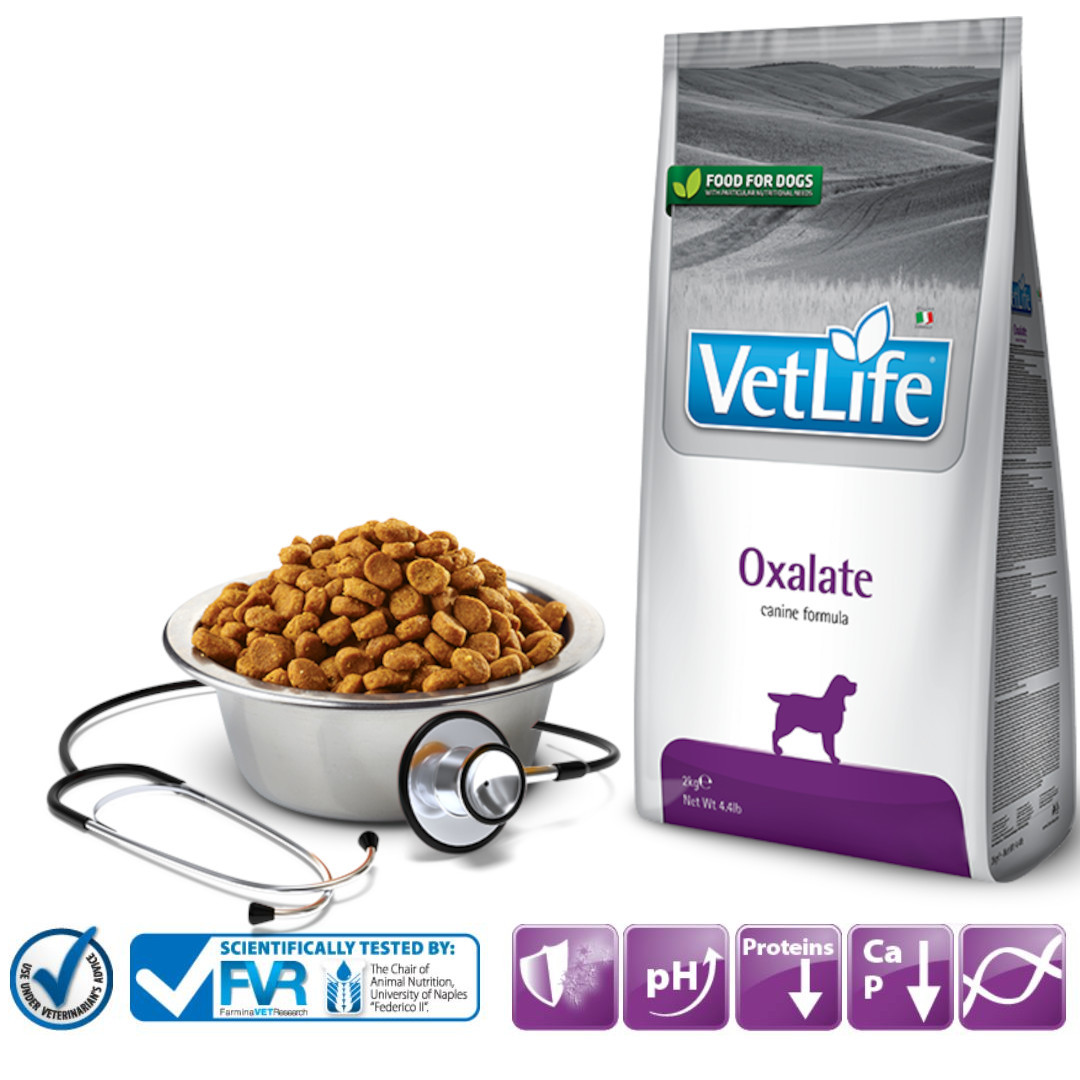 FARMINA Vet Life Oxalate Dog - Trockenfutter für Hunde - 2 kg - foto 2