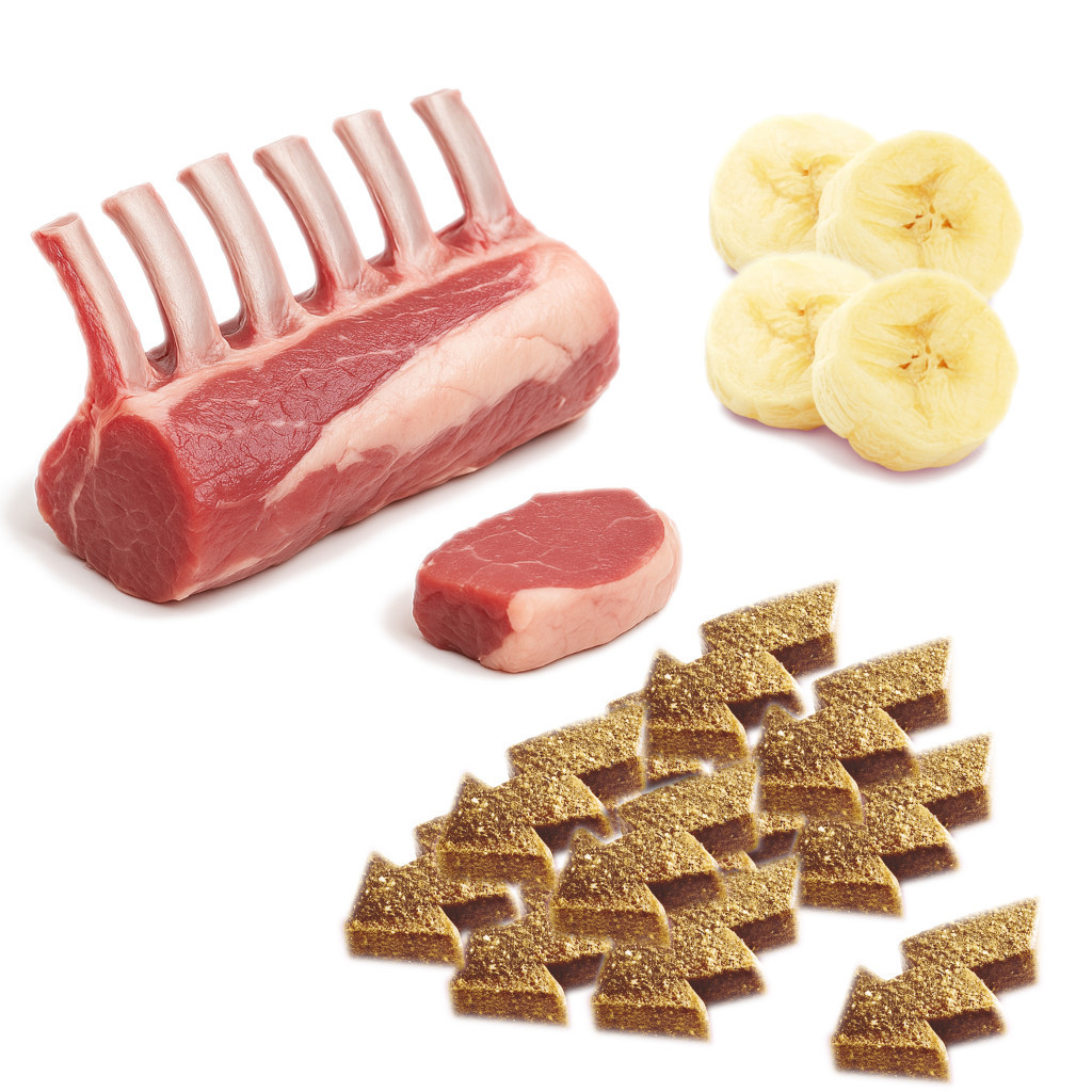 BRIT Care Functional Snack Endurance Lamb - leckerli für hunde - 150g - foto 2