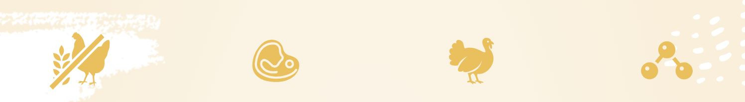 BIOFEED Euphoria Fresh Adult Turkey with rabbit XS/S - trockenfutter für Hunde - 500g - foto 1