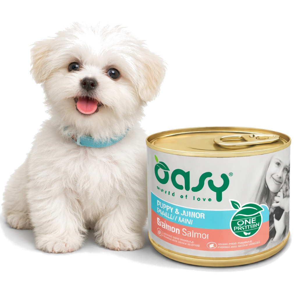 OASY One Protein Puppy & Junior Small/Mini Salmon - Nassfutter für Hunde - 200g - foto 2