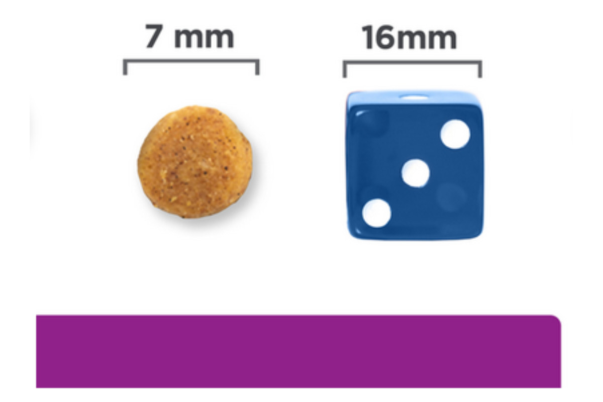 HILL'S Thyroid Care y/d – Trockenfutter für Katzen – 1,5kg - foto 3