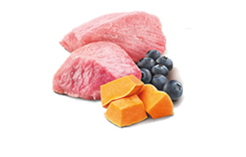 Farmina N&D Cat Lamb & Pumpkin & Blueberry 70g - foto 3