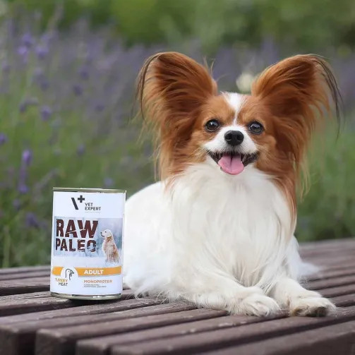 RAW PALEO Adult Monoprotein Turkey – Nassfutter für Hunde – 400 g - foto 2