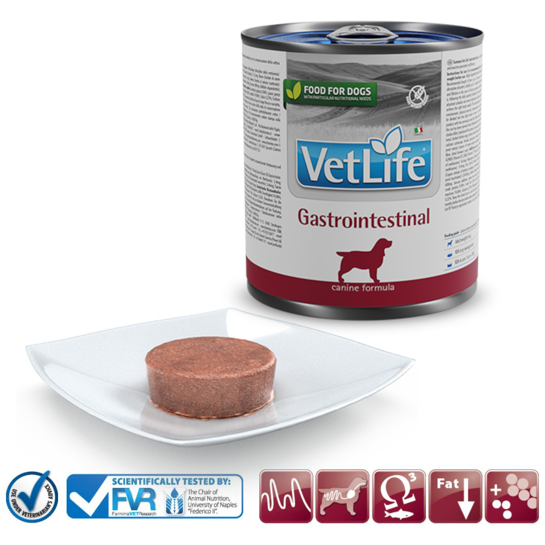 Farmina Vet Life Diet DOG Gastrointestinal 300 g - foto 2