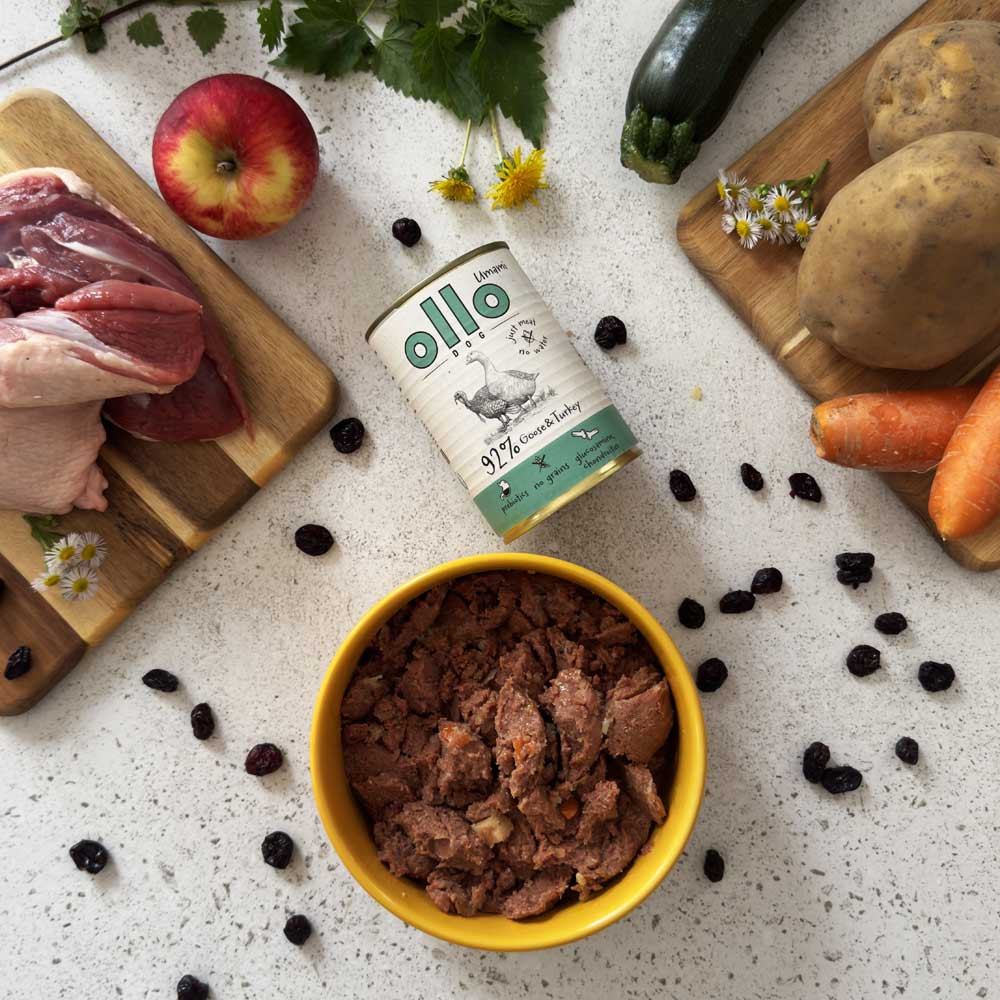OLLO Umami Goose and turkey - Nassfutter für Hunde - 850g - foto 2
