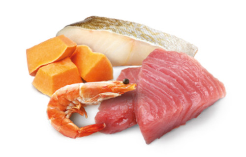 FARMINA N&D Ocean Kitten Thunfisch, Kabeljau, Garnelen & Kürbis – Nassfutter für Kätzchen – 70g - foto 2