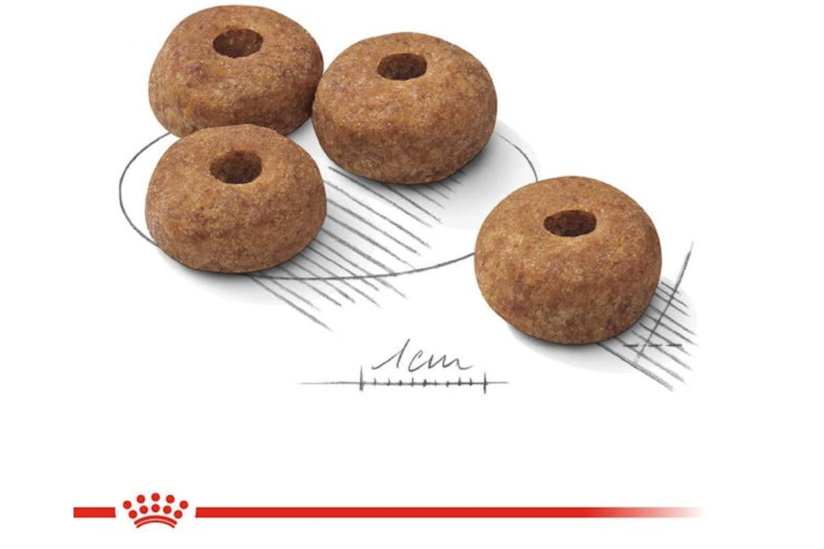 ROYAL CANIN CCN Medium Sterilised Adult - Trockenfutter für Hunde - 12 kg - foto 2