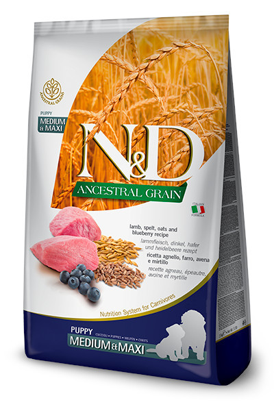 FARMINA N&D Ancestral Grain Puppy Medium&Maxi Lamm - Hundetrockenfutter - 12 kg - foto 2