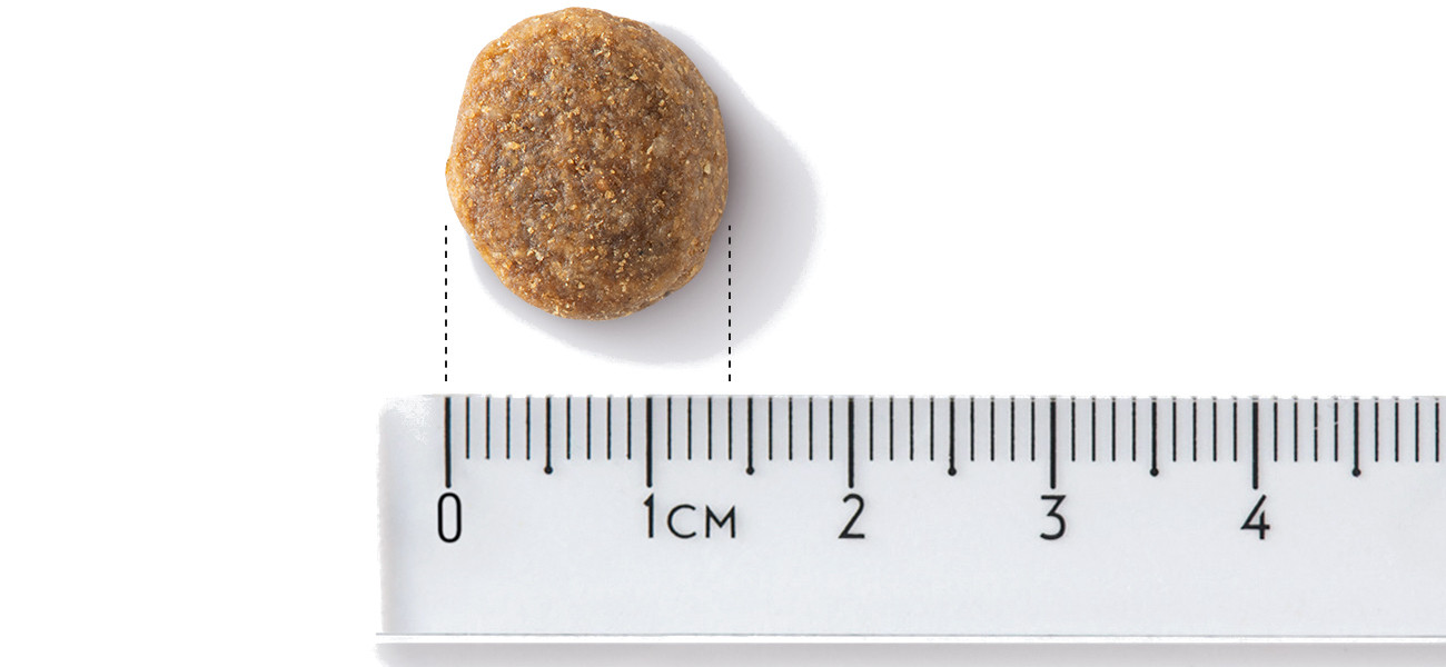 JOHN DOG Good Form Adult Medium and large breeds Veal with lamb - Trockenfutter für Hunde - 12 kg - foto 3