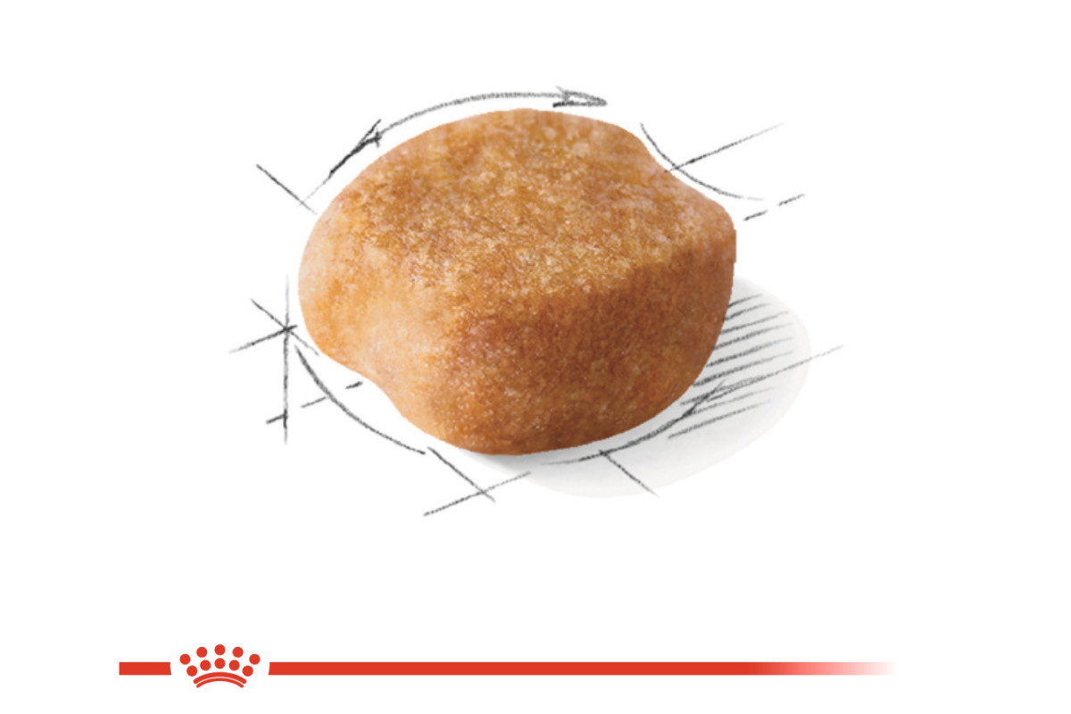 ROYAL CANIN BHN Yorkshire Terrier Adult - Trockenfutter für Hunde - 3kg - foto 2