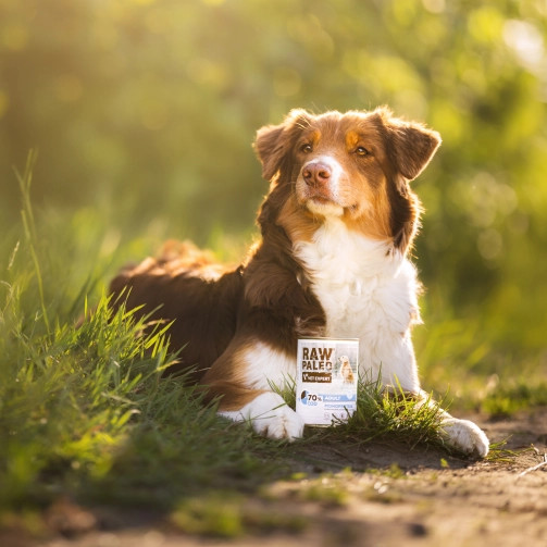 RAW PALEO Adult Monoprotein Kabeljau – Nassfutter für Hunde – 800 g - foto 1