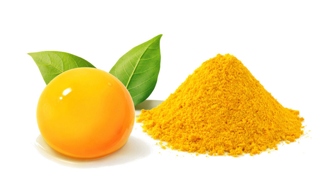 POKUSA Egg Yolk RawDietLine - nahrungsergänzungsmittel für hunde und katzen - 150g - foto 2