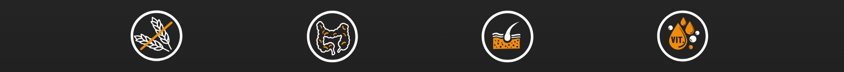 BIOFEED Tasty Dogs Life Junior Veal - Nassfutter für Hunde - 150g - foto 1