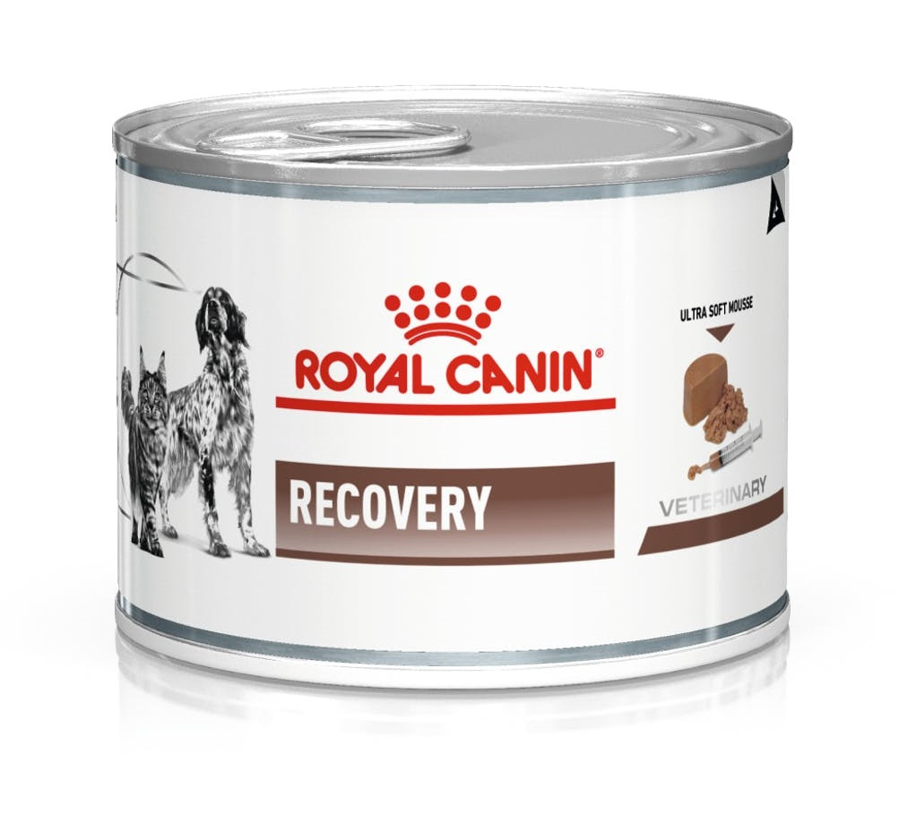 ROYAL CANIN Recovery - Nassfutter für Hunde und Katzen - 195g - foto 3